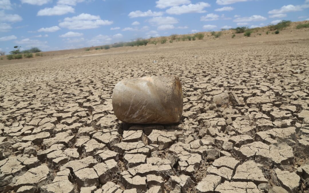 Drought Response