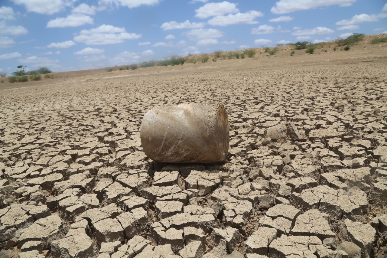 Drought Response