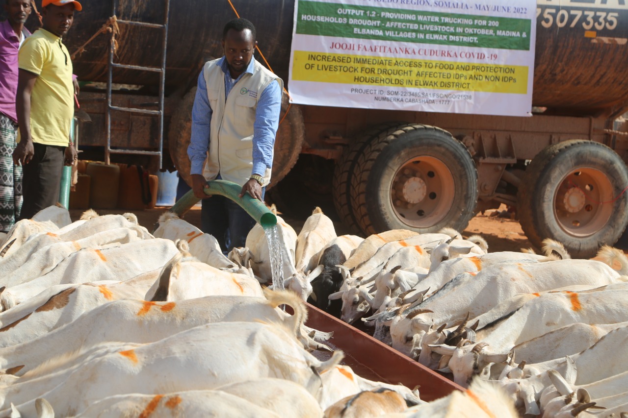 PROVIDING EMERGENCY WATER TRUCKING TO PROTECT LIVELIHOODS