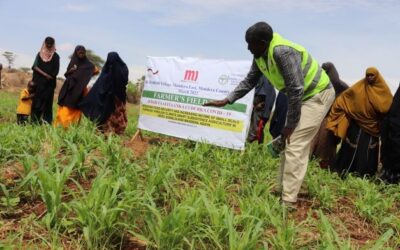 Boosting Food Security through Irrigation Farming  in Bur Abor village, Mandera