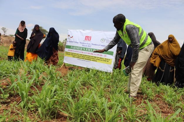 Boosting Food Security through Irrigation Farming  in Bur Abor village, Mandera