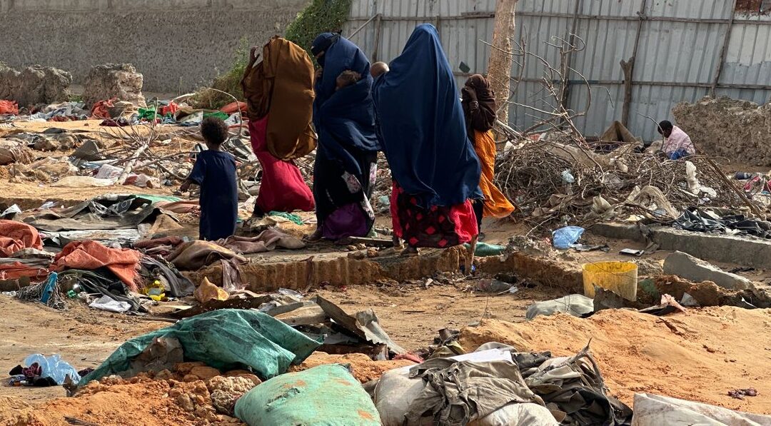 URGENT APPEAL FOR PARTNERSHIP: Addressing the IDP Displacement Crisis in Deynille District, Banadir region, Somalia.