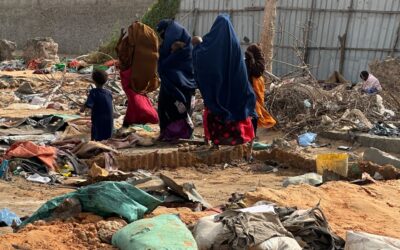 URGENT APPEAL FOR PARTNERSHIP: Addressing the IDP Displacement Crisis in Deynille District, Banadir region, Somalia.