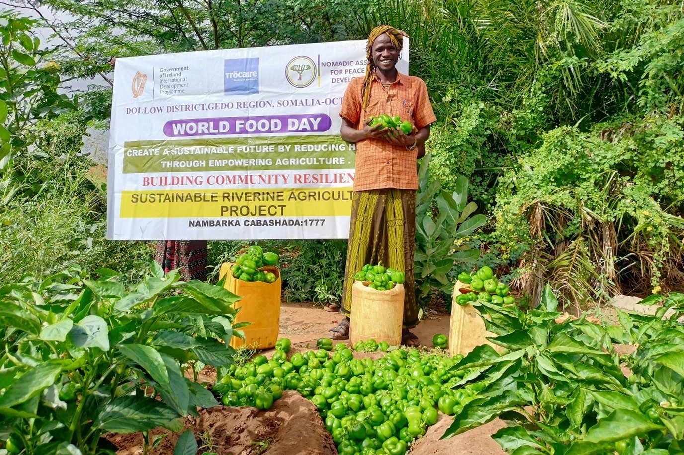 Sustainable Farming among Riverine Farmers in Gubataa