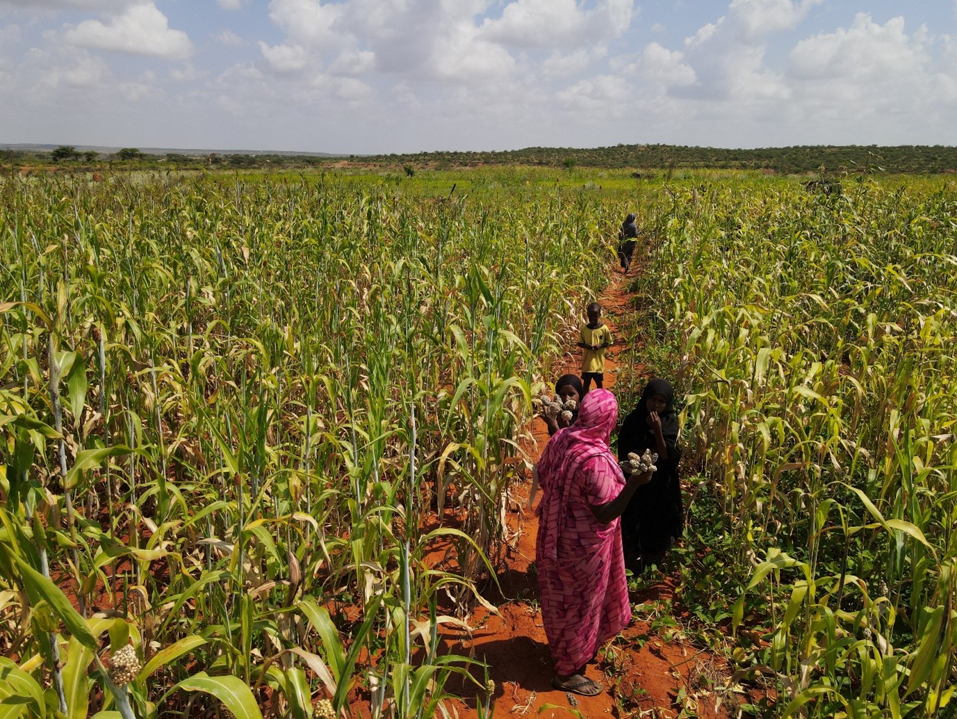How Farmer Field Days Empowered Mama Hawa