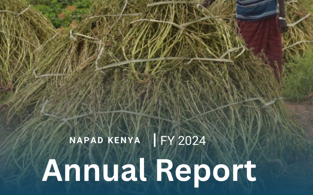 NAPAD Kenya Annual Report 2024