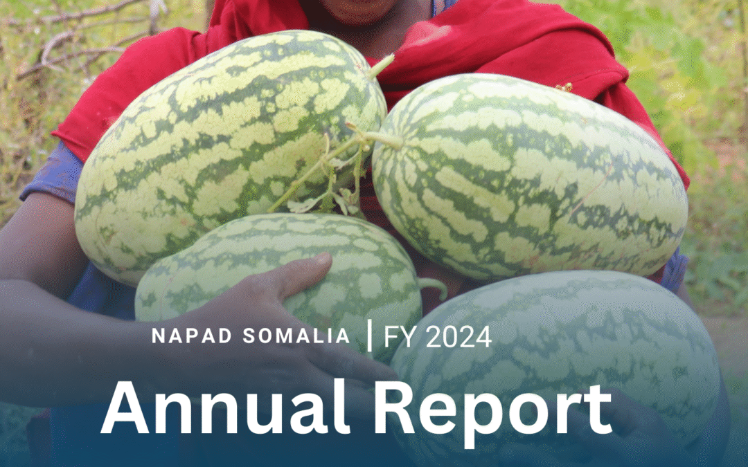 Nomadic Assistance for Peace and Development (NAPAD) Annual Report 2024