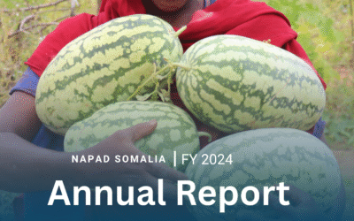 Nomadic Assistance for Peace and Development (NAPAD) Annual Report 2024