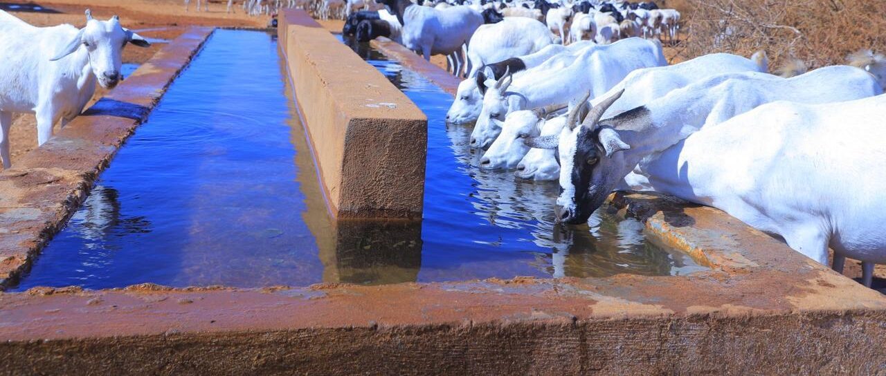 Providing Clean Water Access for Communities in Aricadeys