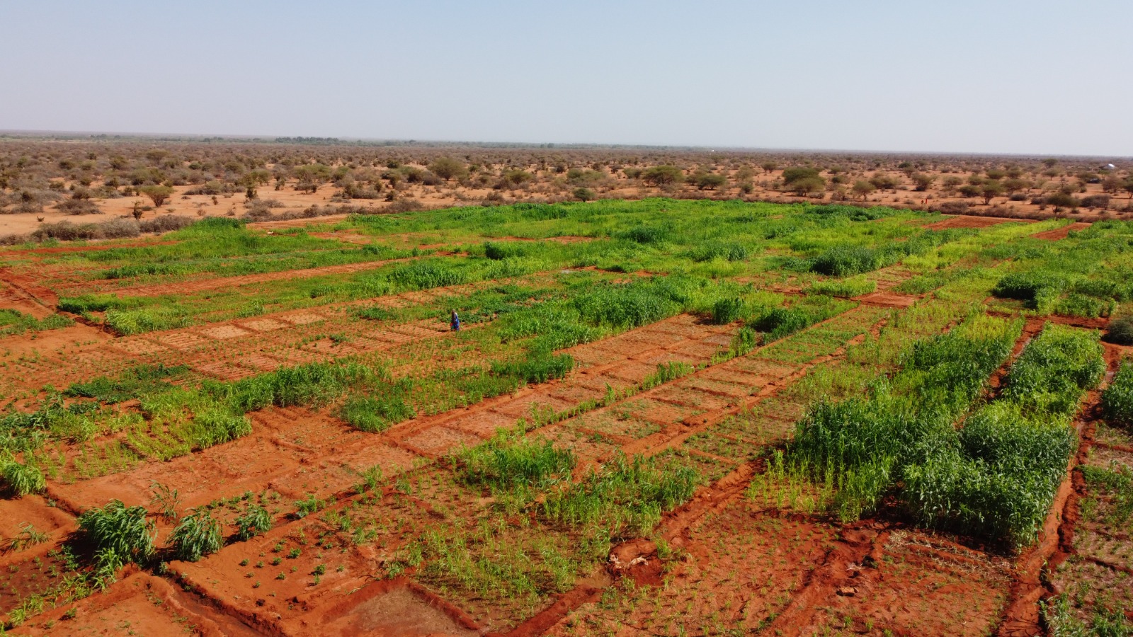 Farming Smarter in a Changing Climate